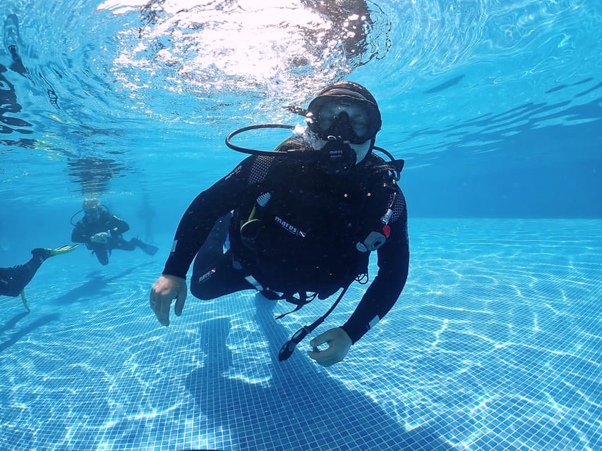 Madeira, Ponta São Lourenço: Scuba Diving for Beginners - Price and value: is $53 worth it in Madeira?