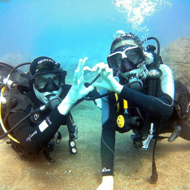 Madeira, Ponta São Lourenço: Scuba Diving for Beginners - Certificate of participation: a nice souvenir and motivation boost