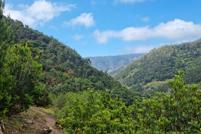 Madeira Porto da Cruz to Machico Self Hiking Tour with Transfer - Vereda do Larano: a 3-hour trail with coastal and mountain vibes