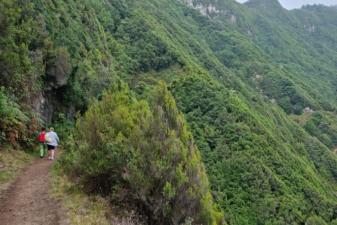Madeira Porto da Cruz to Machico Self Hiking Tour with Transfer - Who this tour suits best, and who should pass
