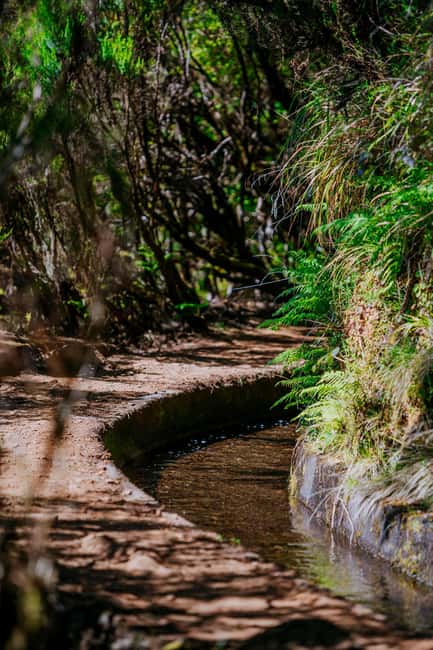 Madeira: PR 18 - Levada do Rei Hike Transfer - From Funchal to São Jorge, the Van Ride You Actually Want