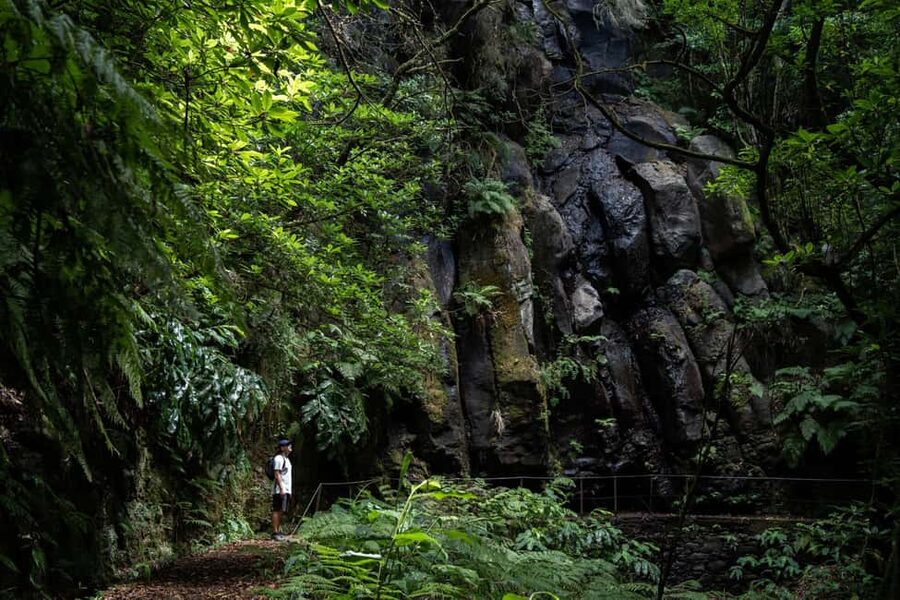 Madeira: PR 9 - Levada do Caldeirão Verde Hike Transfer - Key Things That Make This PR9 Transfer Stand Out