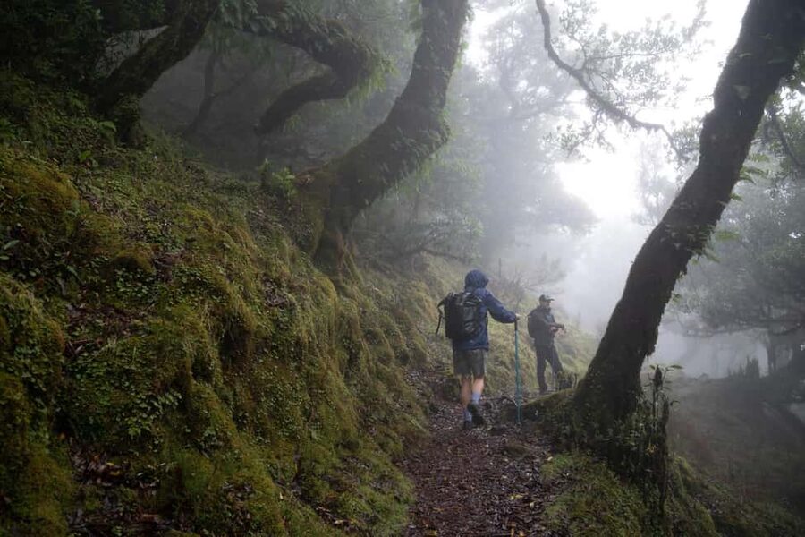 Madeira: PR 9 - Levada do Caldeirão Verde Hike Transfer - Why the PR9 Levada do Caldeirão Verde Day Feels Different