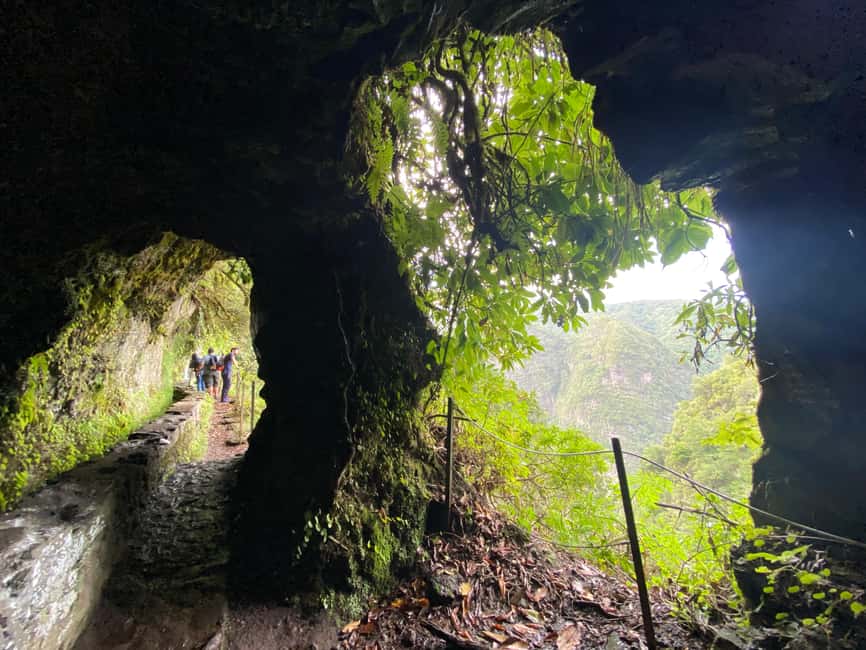 Madeira: PR 9 - Levada do Caldeirão Verde Hike Transfer - Main Event on PR9: Laurissilva Forest, Escarpments, and Tunnels