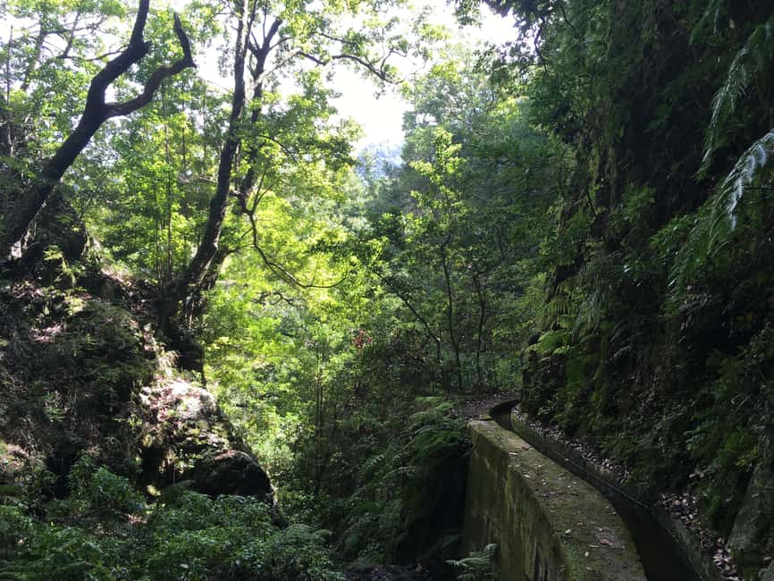 Madeira: PR 9 - Levada do Caldeirão Verde Hike Transfer - Transfer Back to Your Hotel: Stress-Free Ending