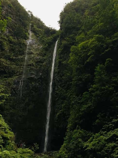Madeira: PR 9 - Levada do Caldeirão Verde Hike Transfer - Price and Value: What $47 Buys You (Plus the 4.50€ Ticket)