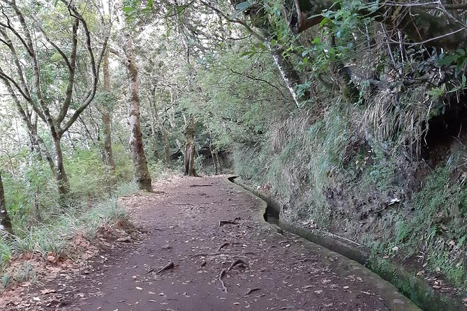 Madeira: Private 1.5-Kilometer Levada dos Balcões Hike PR11 - Your 3-Hour Flow in Plain English