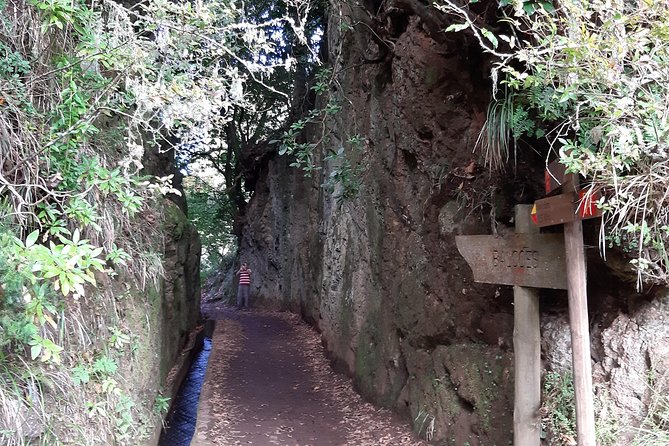 Madeira: Private 1.5-Kilometer Levada dos Balcões Hike PR11 - Lunch as an Optional Upgrade: Stretch Your Day Without Planning Chaos
