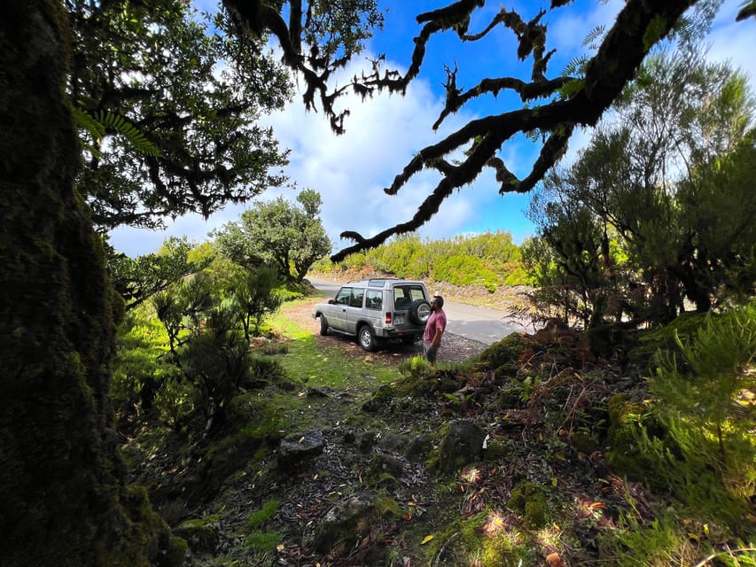 Madeira private 4x4 tour: North-West Coast - Pickup, Route Rhythm, and What a Private Guide Changes