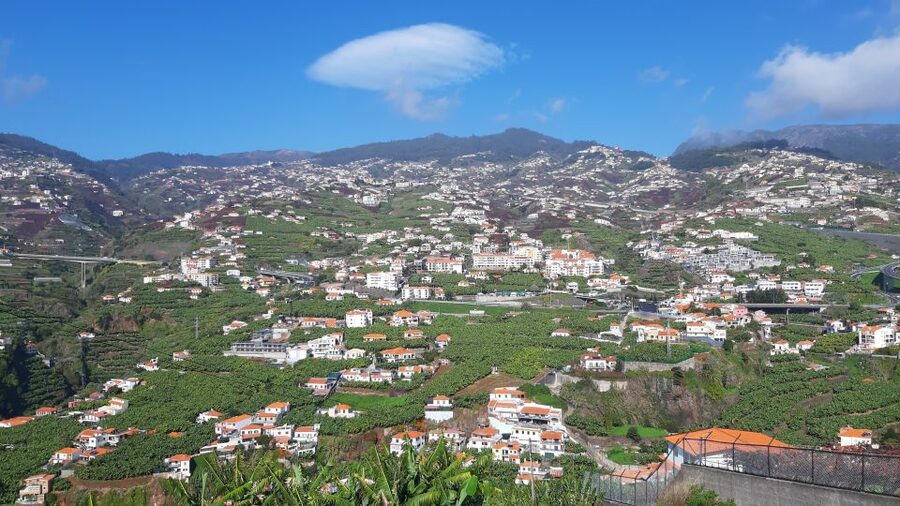 Madeira: Private Banana Farm Tour with Pickup - Who should book this banana farm tour