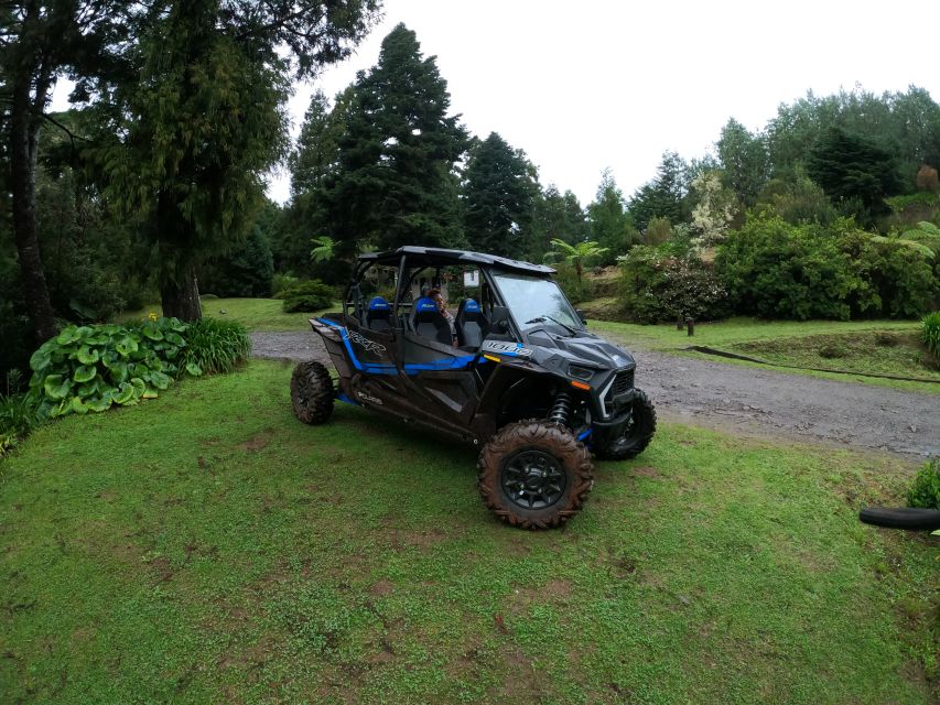 Madeira Private Buggy Adventure: Mountains and Forests - Key highlights that make this tour worth your time