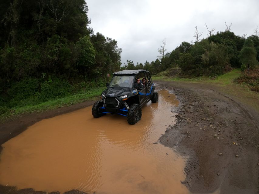 Madeira Private Buggy Adventure: Mountains and Forests - Why This Madeira Buggy Ride Feels Like the Real Island