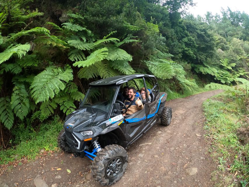 Madeira Private Buggy Adventure: Mountains and Forests - Pico Alto and the First Viewpoints: Feeling the Scale of Madeira