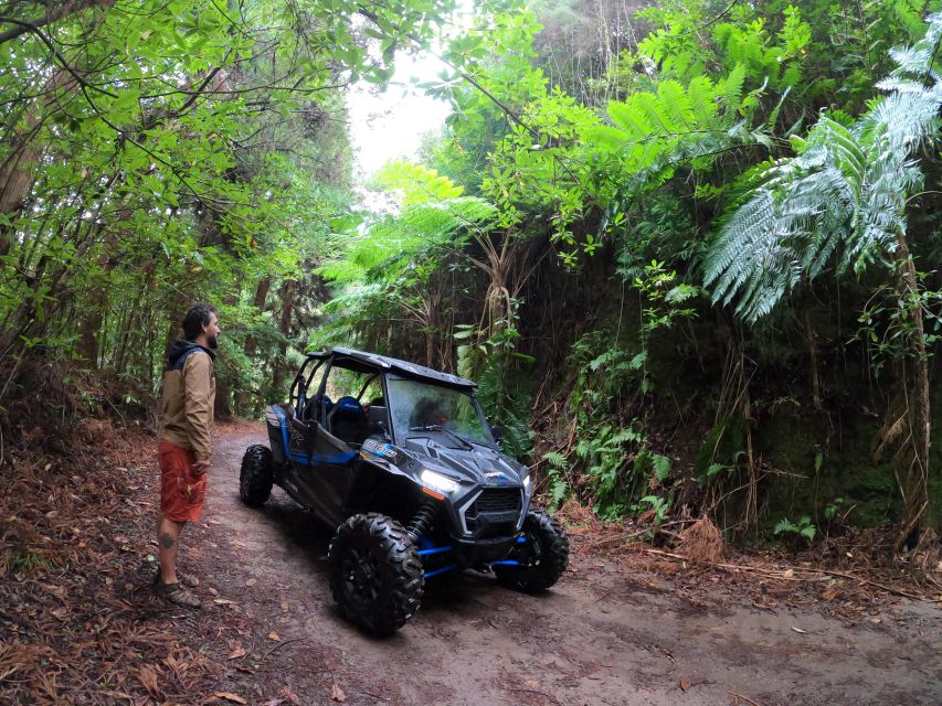 Madeira Private Buggy Adventure: Mountains and Forests - Driving the Polaris RZR XP4: How to Think About Off-Road Without Stress