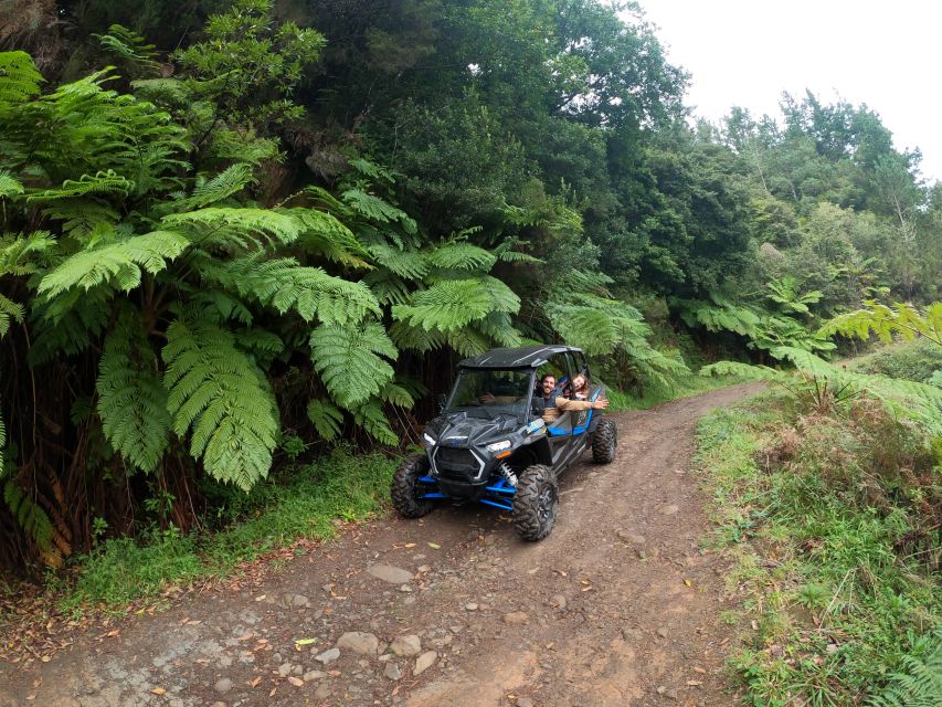 Madeira Private Buggy Adventure: Mountains and Forests - Lamaceiros Lagoon and Portela Viewpoint: Scenic Stops With Purpose