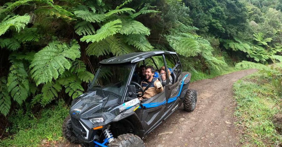 Madeira Private Buggy Adventure: Mountains and Forests - Serra das Funduras: Entering the Forest Roads