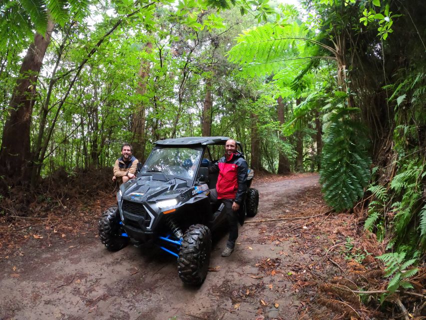 Madeira Private Buggy Adventure: Mountains and Forests - Laurissilva Forest Time: Endemic Flora, Bird Song, and a Slower Pace