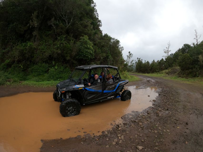 Madeira Private Buggy Adventure: Mountains and Forests - Santo da Serra and the Return: Finishing Strong