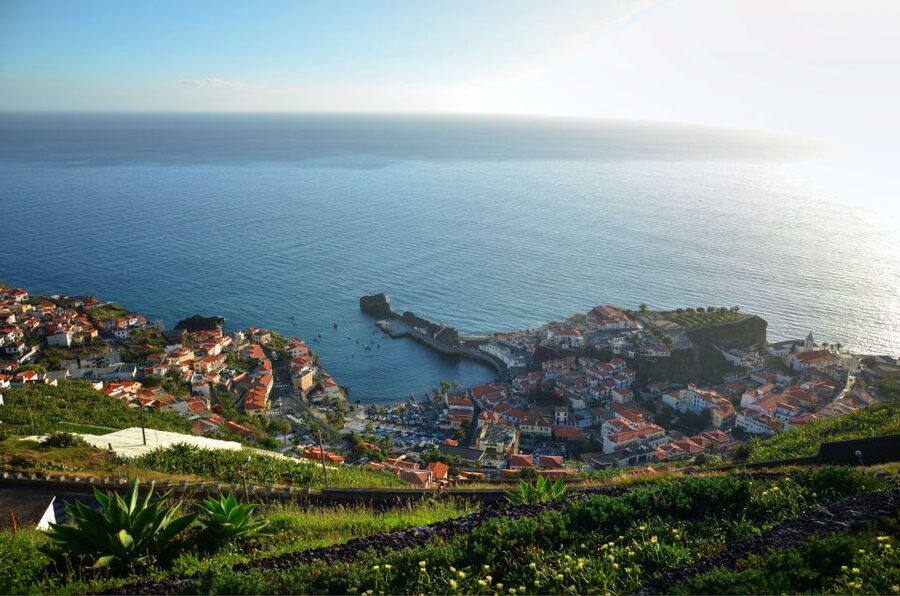MADEIRA: Private Camara de Lobos Tour in a Tukxi - Price and value: when $47 per person makes sense (and when it does not)