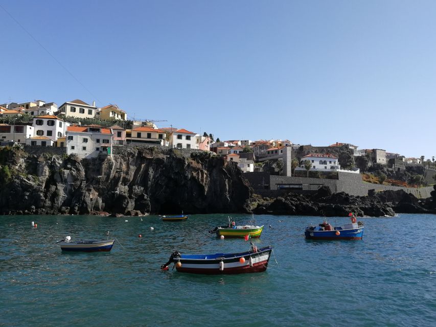 MADEIRA: Private Camara de Lobos Tour in a Tukxi - The ride setup: private group, guided van-like convenience, and quick scenic transitions