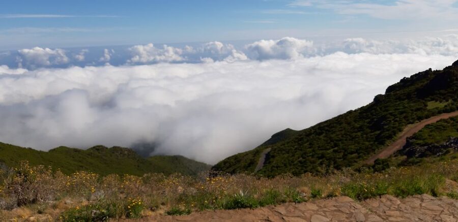 Madeira: Private Guided Achadas Teixeira - Pico Ruivo PR1.1 - Pickup and start: cruise pier convenience to mountain trailhead