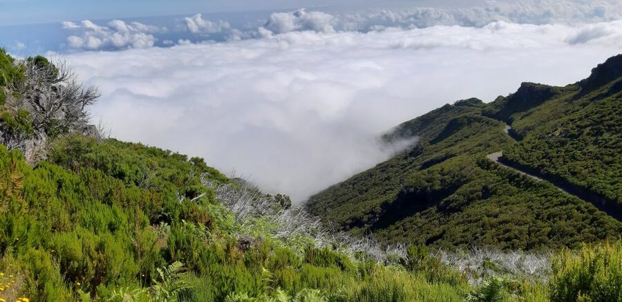 Madeira: Private Guided Achadas Teixeira - Pico Ruivo PR1.1 - Summit time and photo stops: clouds, sea air, and when to slow down