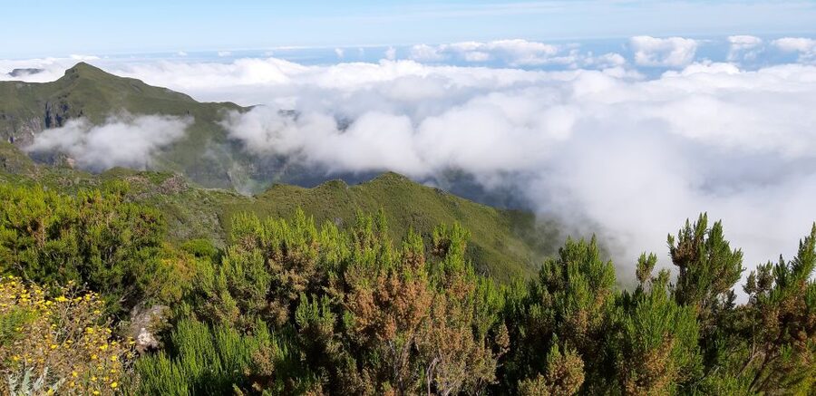 Madeira: Private Guided Achadas Teixeira - Pico Ruivo PR1.1 - Practical value tips before you go