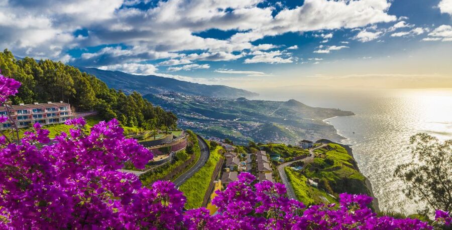 Madeira: Private Guided Cabo Girão Tour - Câmara de Lobos: Churchill’s inspiration, plus real local flavor