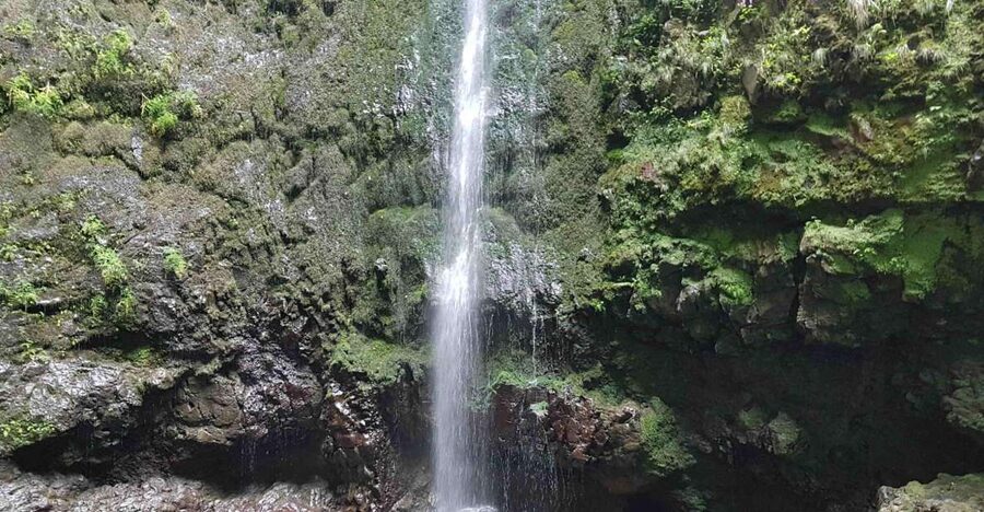 Madeira: Private Guided Levada Caldeirão Verde Walk PR9 - Key Highlights You’ll Feel on the Trail