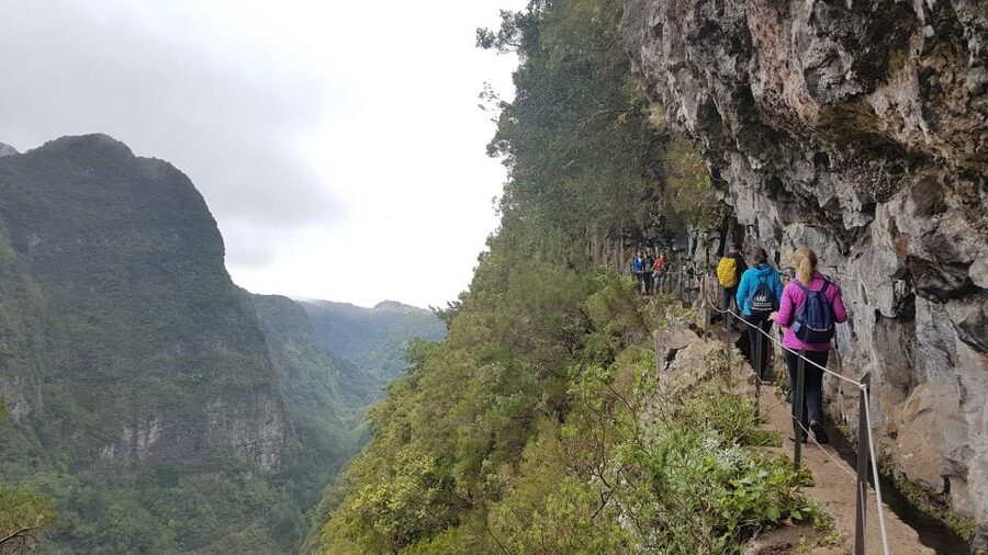 Madeira: Private Guided Levada Caldeirão Verde Walk PR9 - Queimadas to the Levada: A 12 km Walk That Can Feel Like More