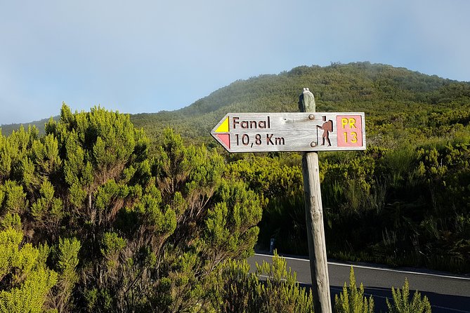Madeira: Private Guided Walk Vereda Fanal PR13 - Key Things I’d Watch For
