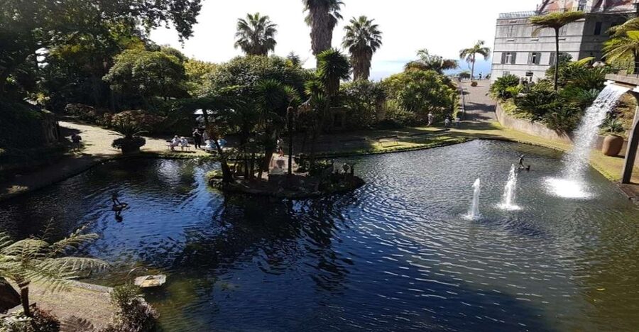 Madeira: Private Half-Day Guided Gardens Tour - Key highlights worth planning around