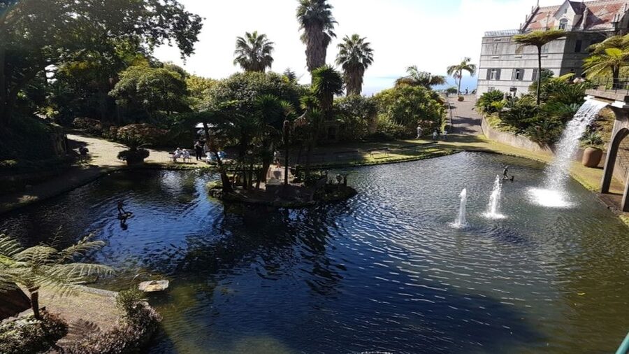 Madeira: Private Half-Day Guided Gardens Tour - Why Madeira’s garden circuit feels like a mini world tour