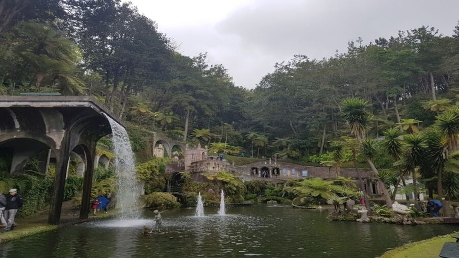 Madeira: Private Half-Day Guided Gardens Tour - Inside Monte Palace: minerals and gems when you need a change of pace