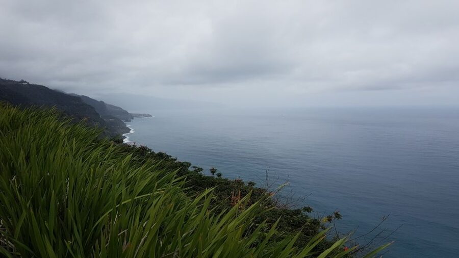 Madeira: Private Half-Day North East Island Tour - Private Vehicle, Free WiFi, and Why the Price Can Make Sense