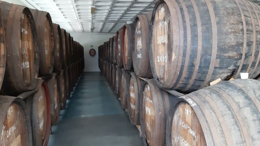 Madeira: Private Half-Day Wine Tasting Tour - The Speedy Half-Day Format That Fits Madeira Schedules