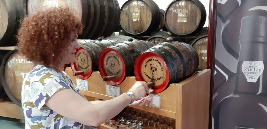 Madeira: Private Half-Day Wine Tasting Tour - Grapes and Wine Styles: What to Listen For During the Talk