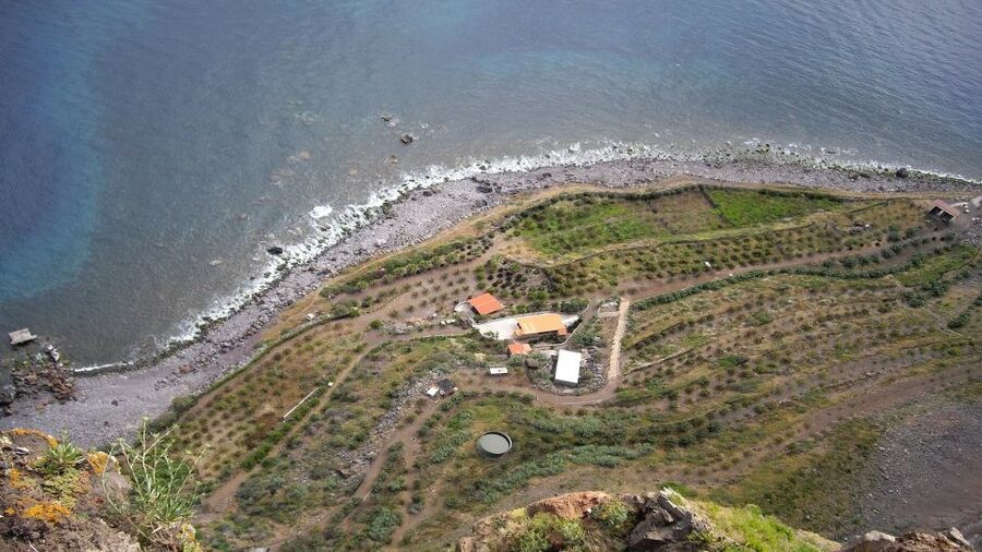Madeira: Private Half-Day Wine Tasting Tour - Who This Tour Suits Best on Madeira