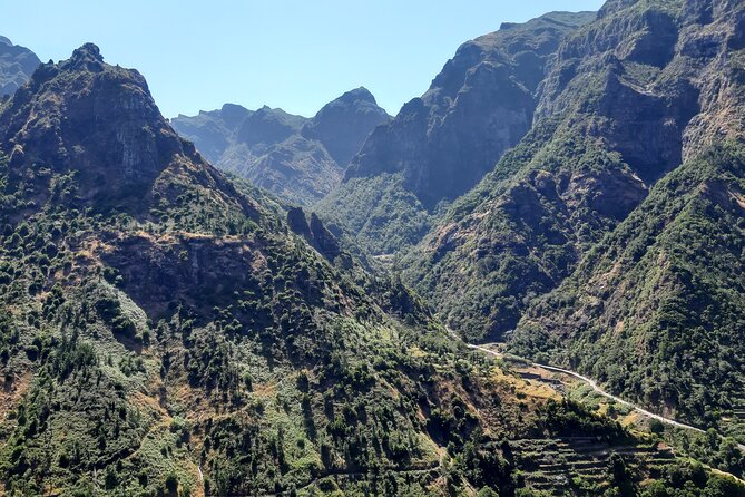 Madeira: Private Laurisilva Tour - Key highlights in plain language