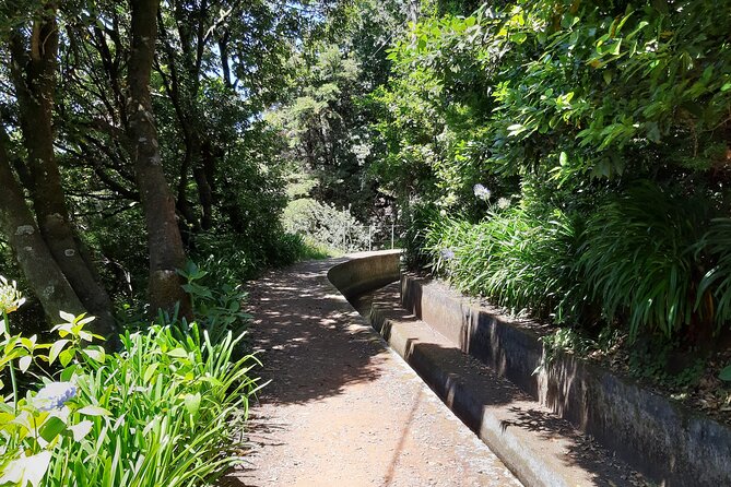 Madeira: Private Laurisilva Tour - The Duarte Factor: What Makes the Guide Really Matter