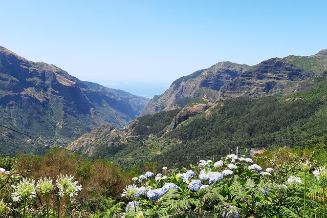 Madeira: Private Laurisilva Tour - Price and Value for a Group Up to 4