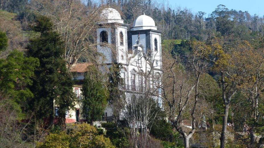 Madeira: Private Monte tour on a Tukxi - Price, duration, and what you get for about $58 per person