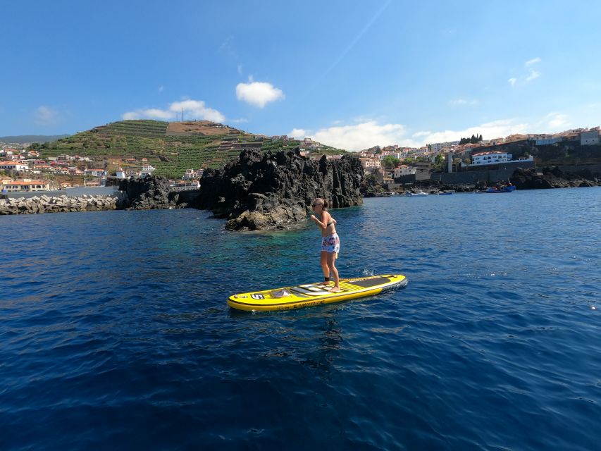 Madeira: Private Paddleboard & Snorkel - Key Highlights You’ll Care About