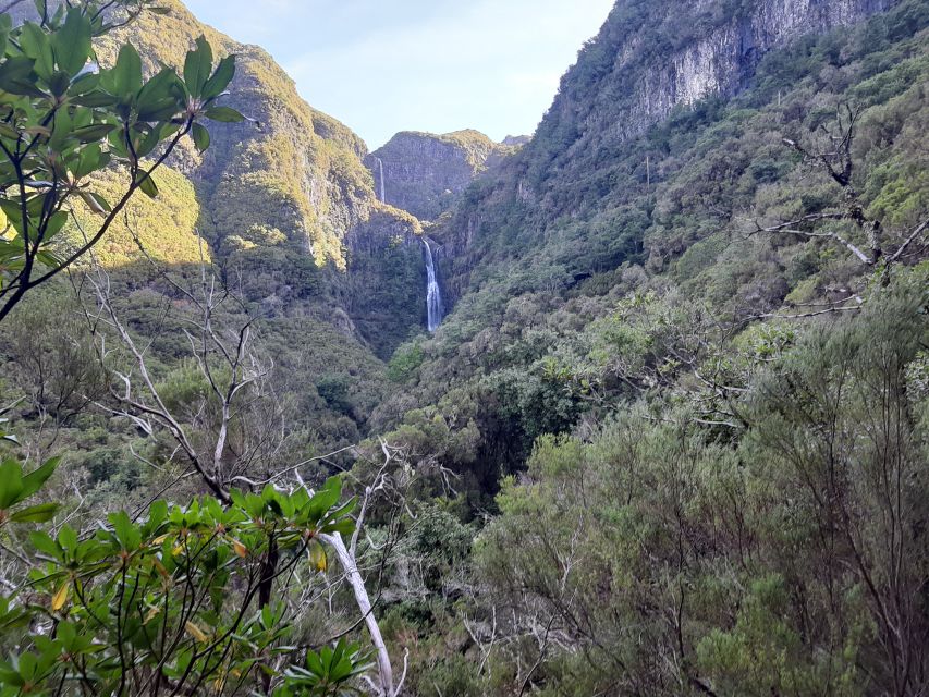 Madeira: Private Walking Tour of Levada das 25 Fontes PR6 - Key Highlights You’ll Actually Notice
