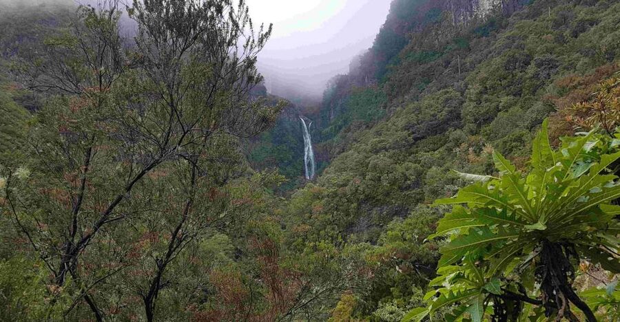 Madeira: Private Walking Tour of Levada das 25 Fontes PR6 - Who this private Levada das 25 Fontes tour fits best