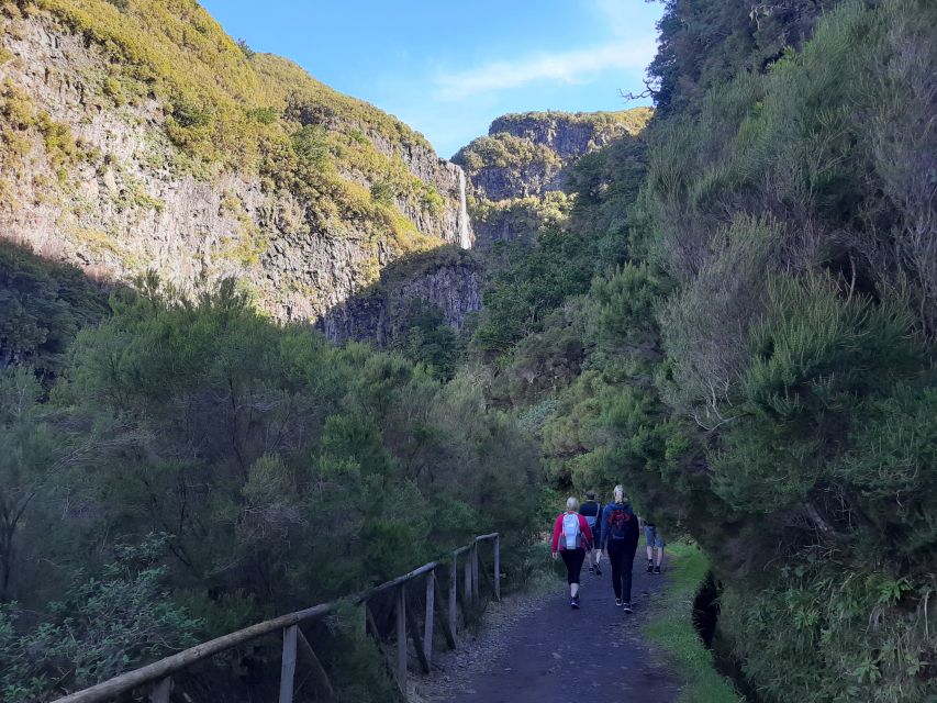 Madeira: Private Walking Tour of Levada das 25 Fontes PR6 - Why the Levada das 25 Fontes walk feels like a rainforest circuit