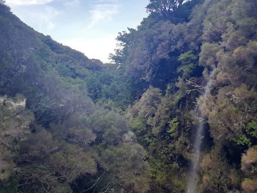 Madeira: Private Walking Tour of Levada das 25 Fontes PR6 - Laurisilva, native plants, and that dark wet tunnel reality