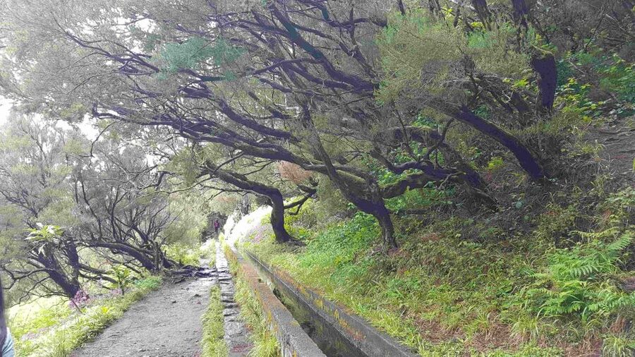 Madeira: Private Walking Tour of Levada das 25 Fontes PR6 - The 25 waterfalls and lagoon stop: where the views turn into a moment