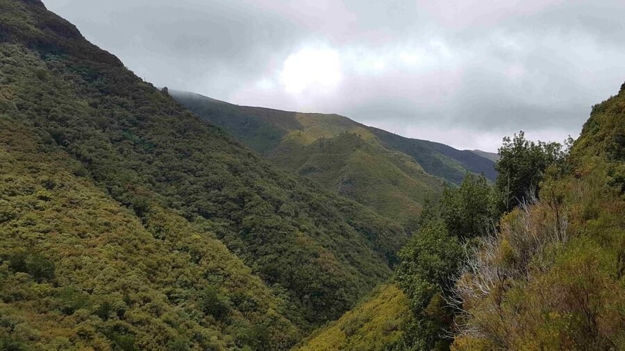 Madeira: Private Walking Tour of Levada das 25 Fontes PR6 - Price and what you get for $117 per person