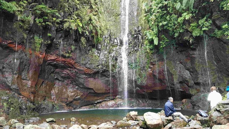 Madeira: Private Walking Tour of Levada das 25 Fontes PR6 - Meeting point at the cruise ship pier, and pickup zones on Madeira